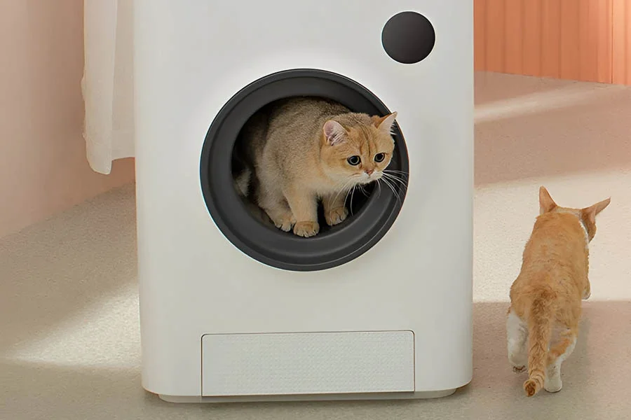 kitty robot litter